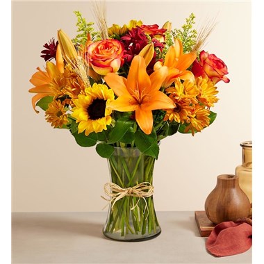 Fields Of Europe® For Fall