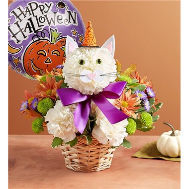 Purrfect Potions Fabulous Feline™