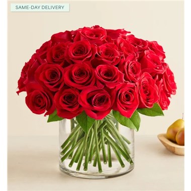 191560_Contemporary_Red_Roses_LG