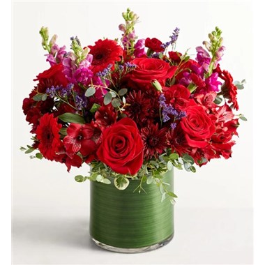 Vivid Devotion&trade;